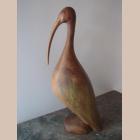 Ibis