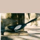 Two magpies