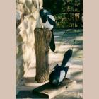 Two magpies