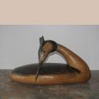 A crested grebe