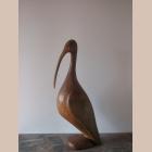 Ibis