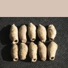Wasp nests